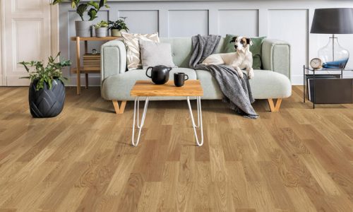 Tercan Yapı Dekorasyon Parke